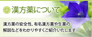 漢方薬について
