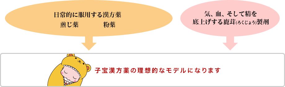 子宝漢方薬の理想的なモデル